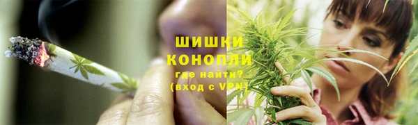 сатива Алзамай