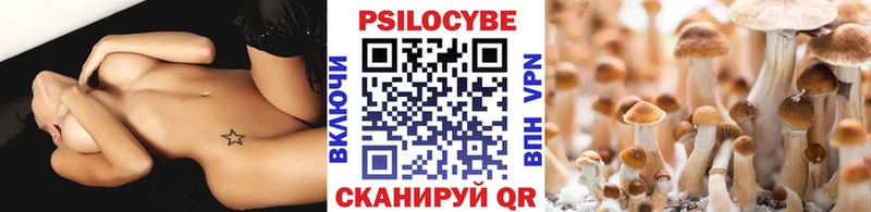 Галлюциногенные грибы ЛСД  Курганинск 