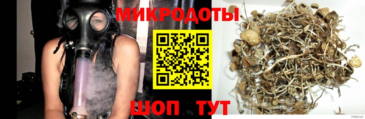 Галлюциногенные грибы мухоморы  Вход с VPN  Курганинск 